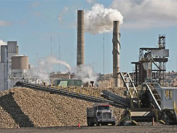 甜菜制糖機械設備